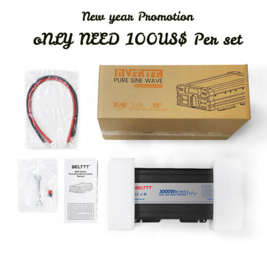 Off Grid Pure Sine Wave Inverter 12V 220V 3000W